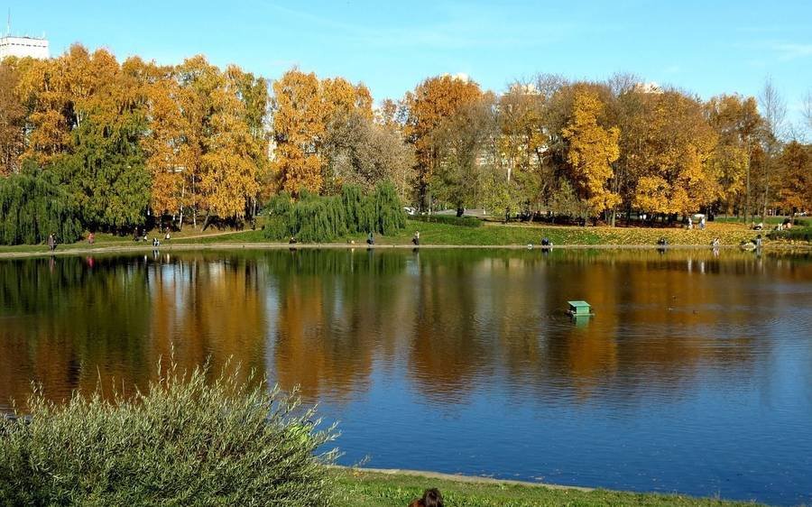 El clima y la temperatura en Moscú