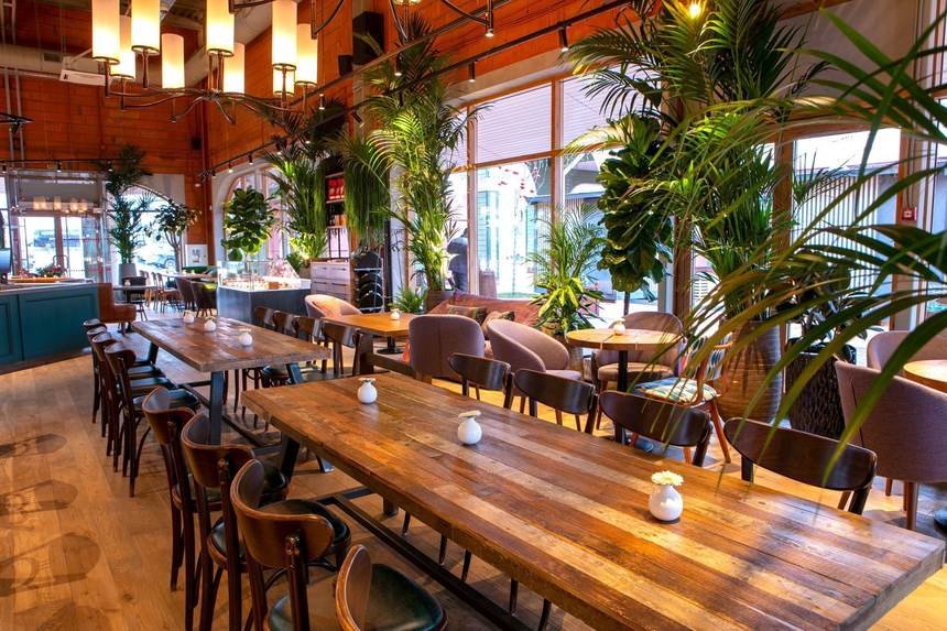 Cafés en Moscú, Pastelerías y cafés en Moscú que debes visitar durante tu viaje