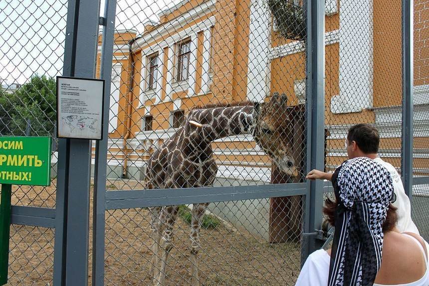Zoológico de Moscú, Conoce el gran Zoológico de Moscú (Parque Zoológico Moskovsky)